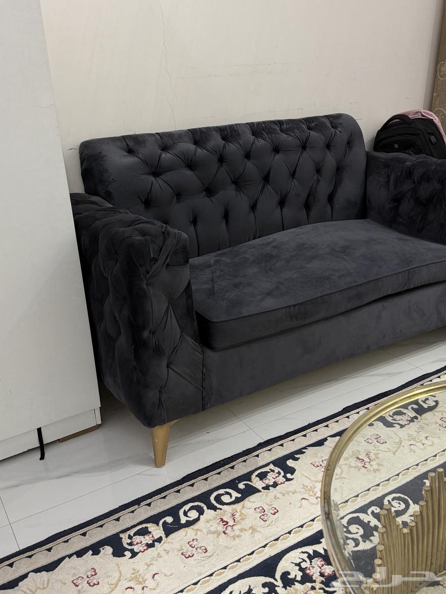 Elegant gray sofa64443587582465112