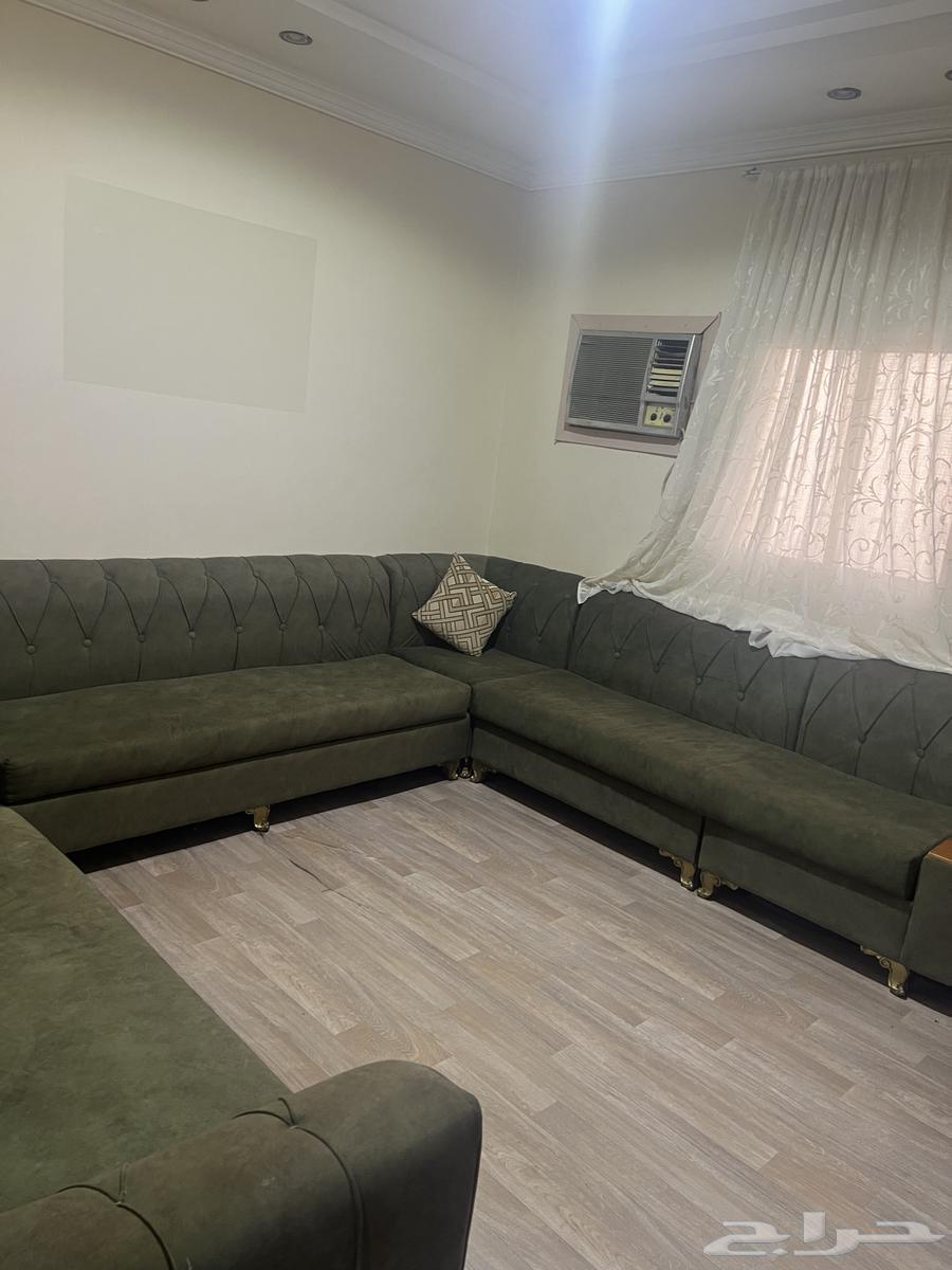 كنب زيتي نظيف للبيع 60064443695705985111