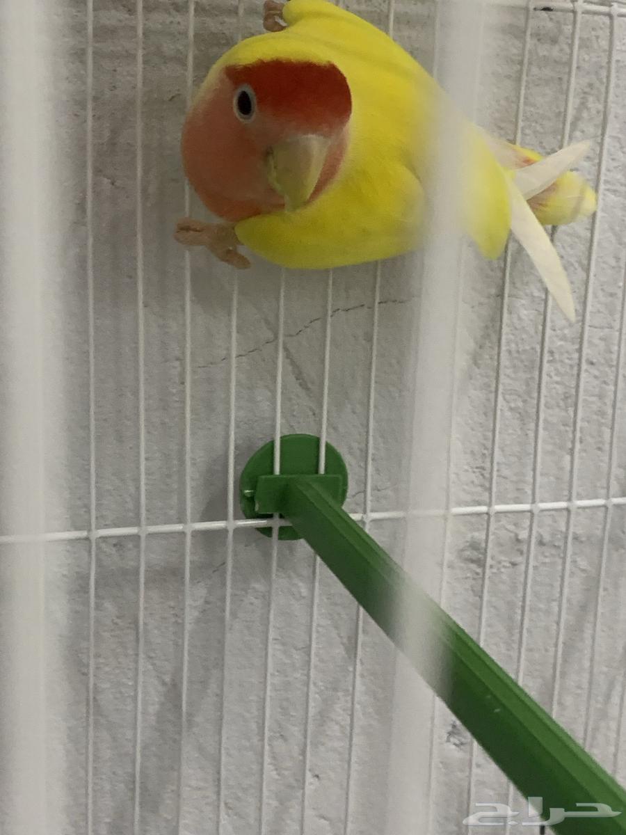 Zikr Ruz64444849406850111