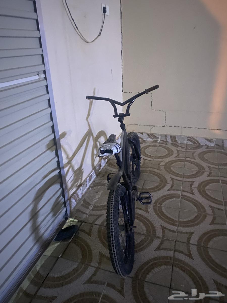 Copper cycle with tank chain price 15064442447807617113