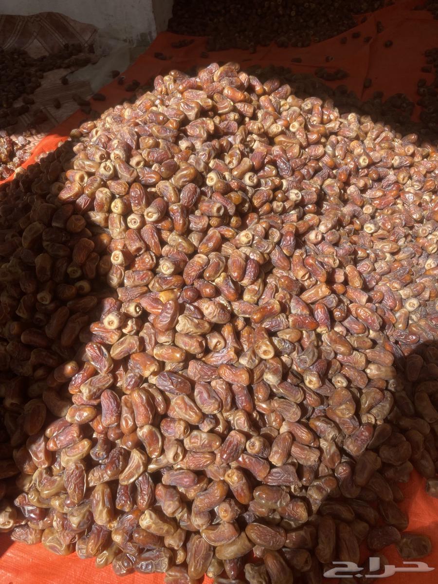 برني العيص فاخر64443789554051110