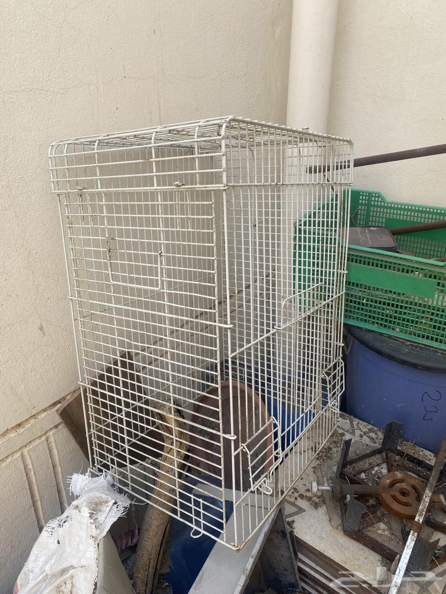 Bird cages in different sizes64447069062273111