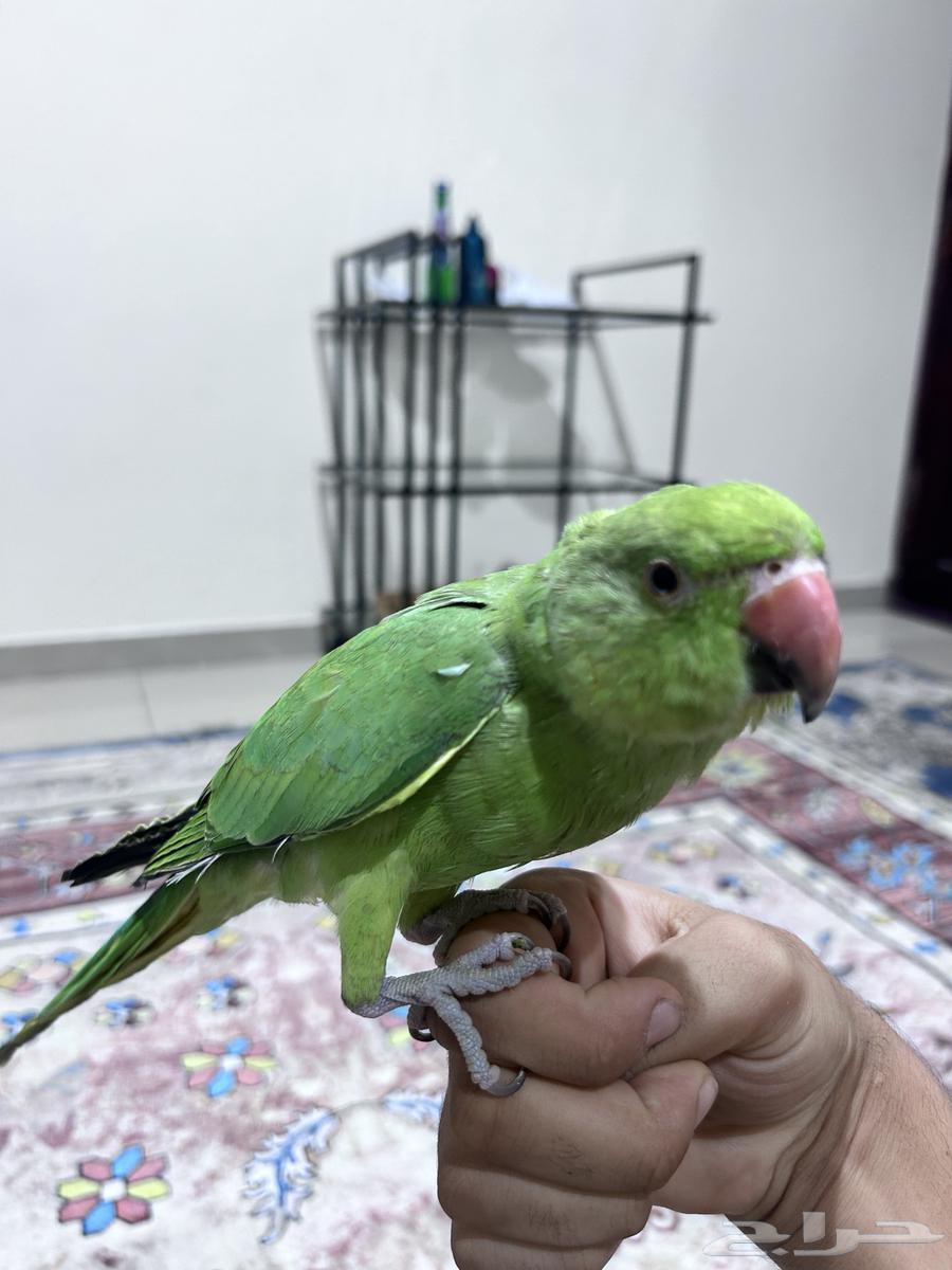 Eleva Valley64442309478913110