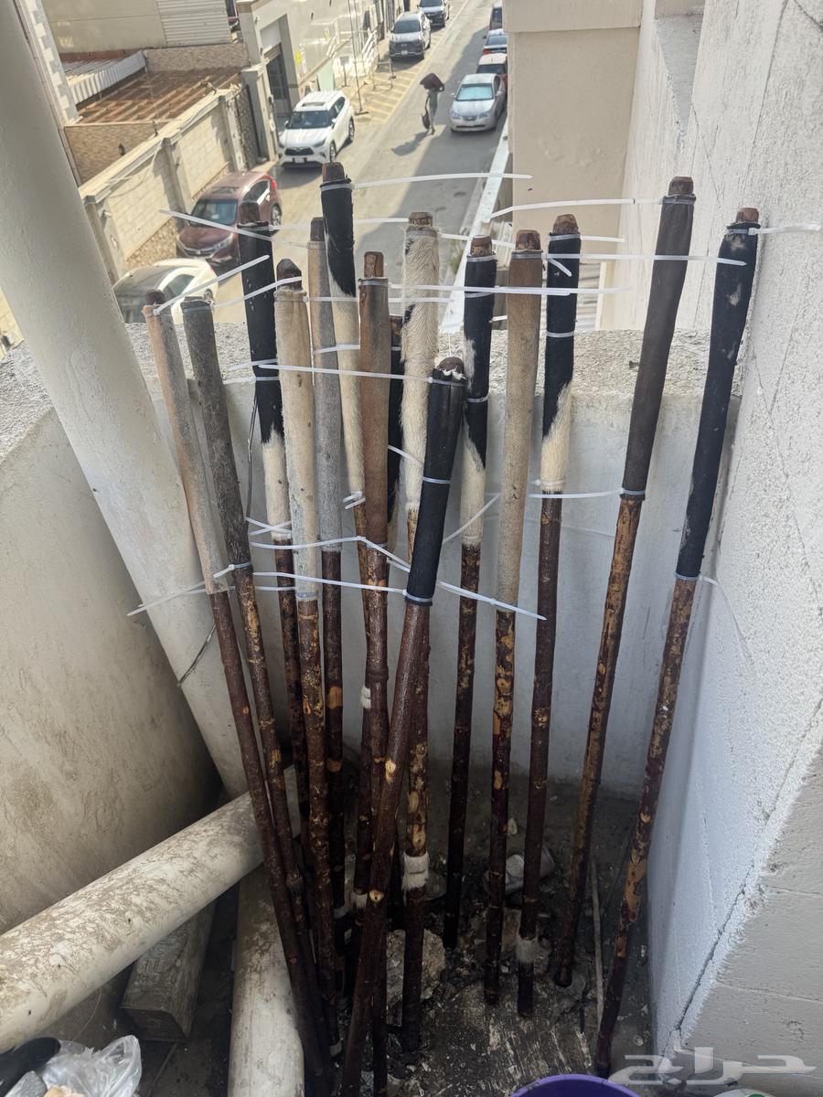 عصي مزمار للبيع64448235488898110