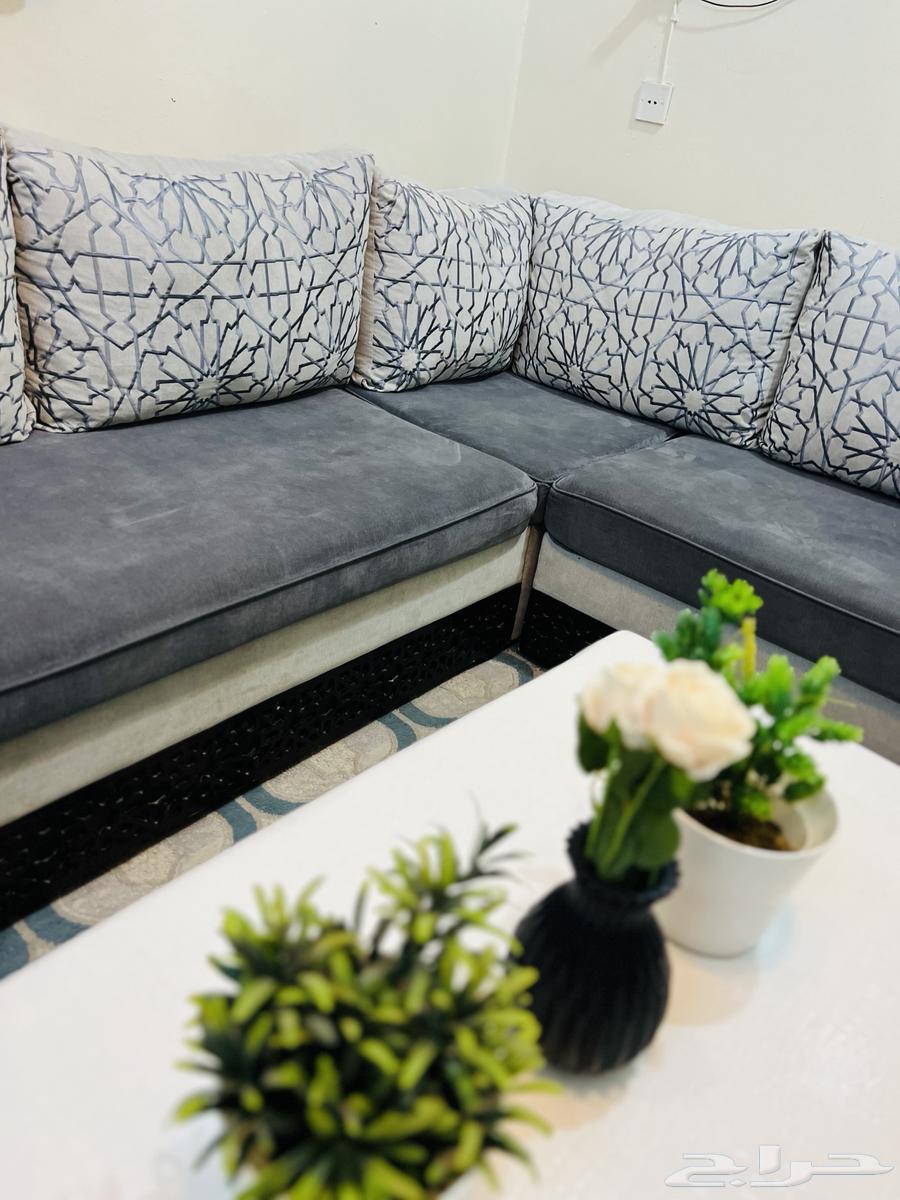 Sofa64444258282499110