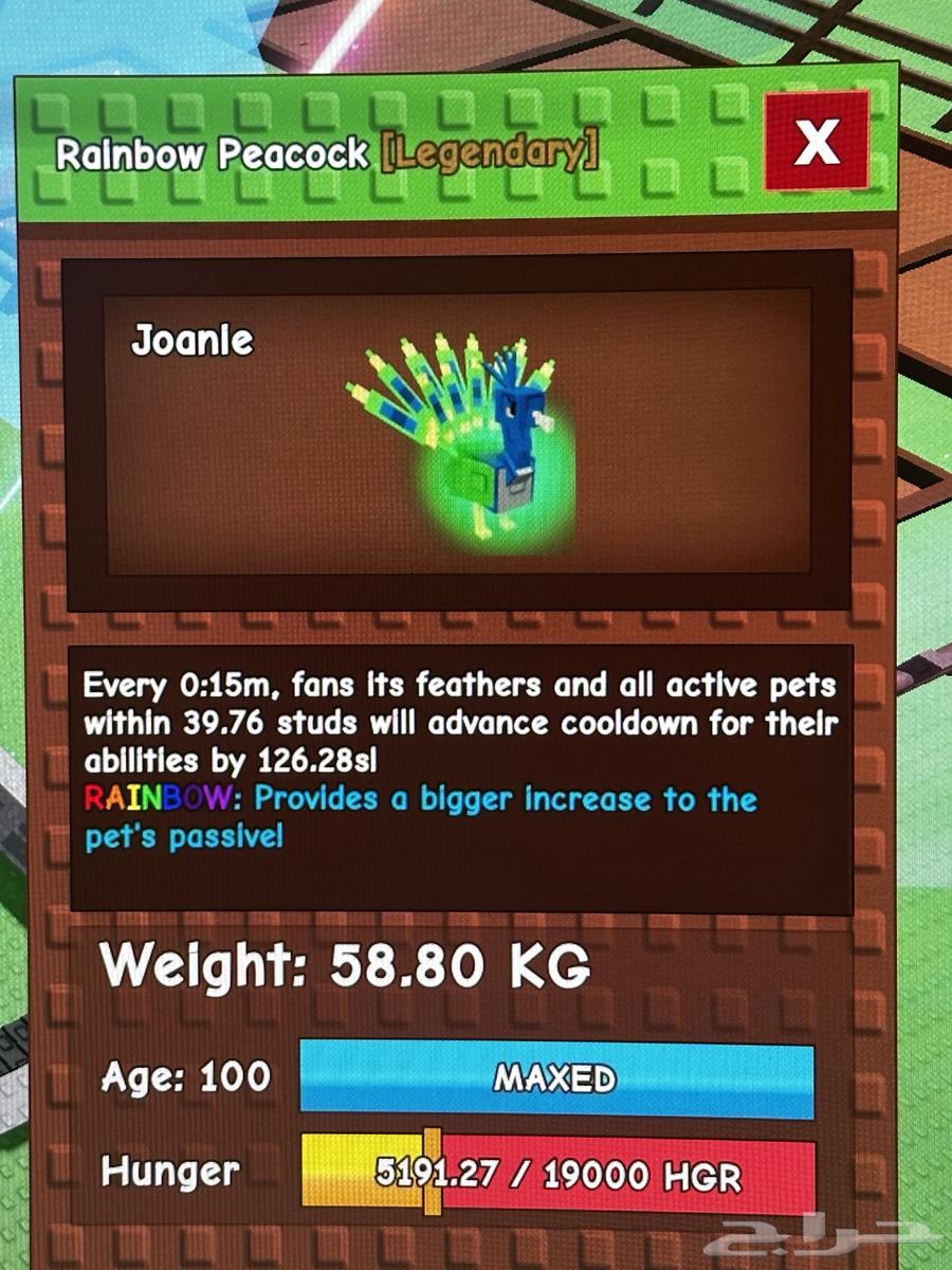 بيت قرو قاردن طائووس 15 ثانيه64448994280451111