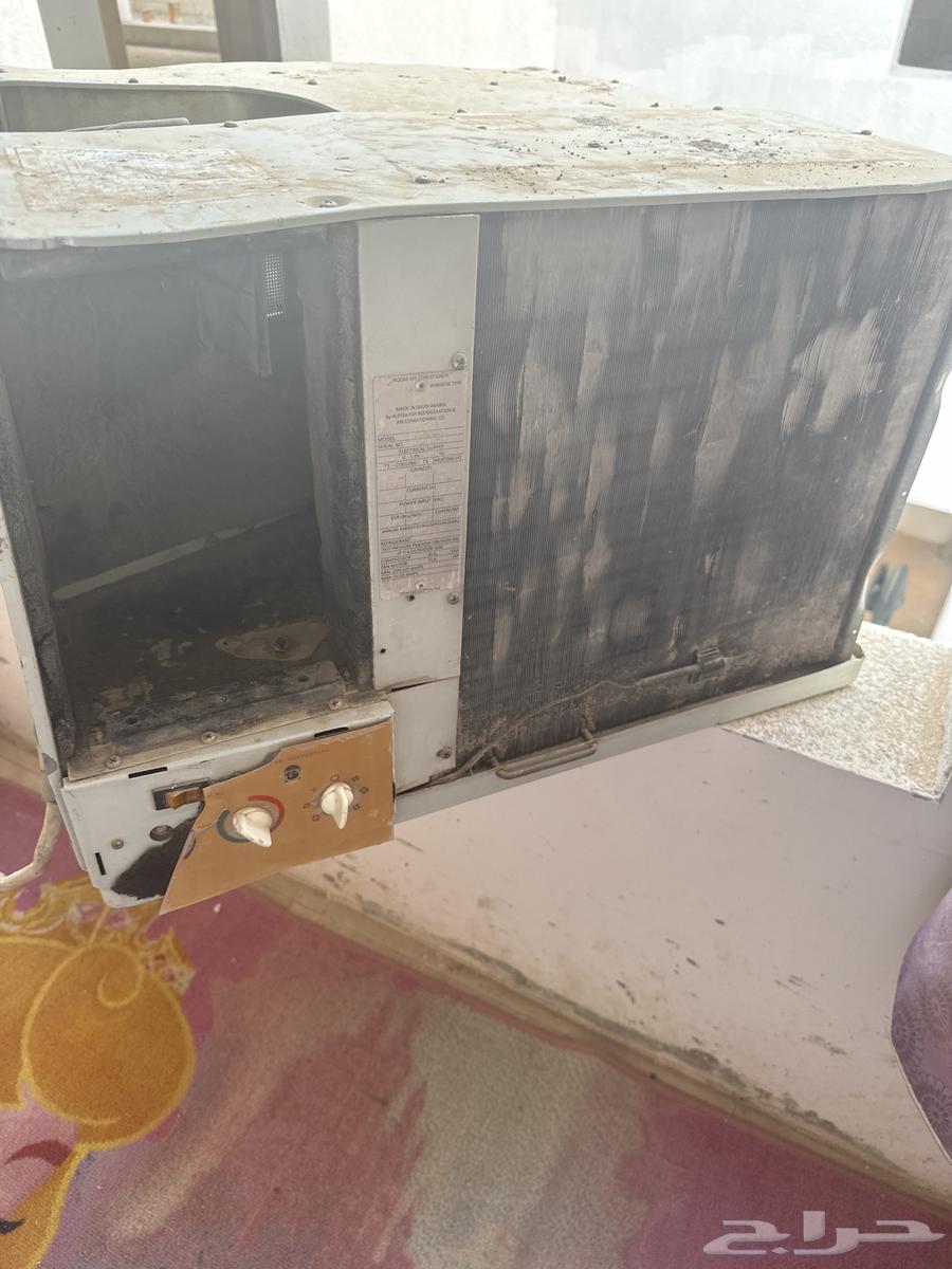 Al-Mahdiya64443520397442112