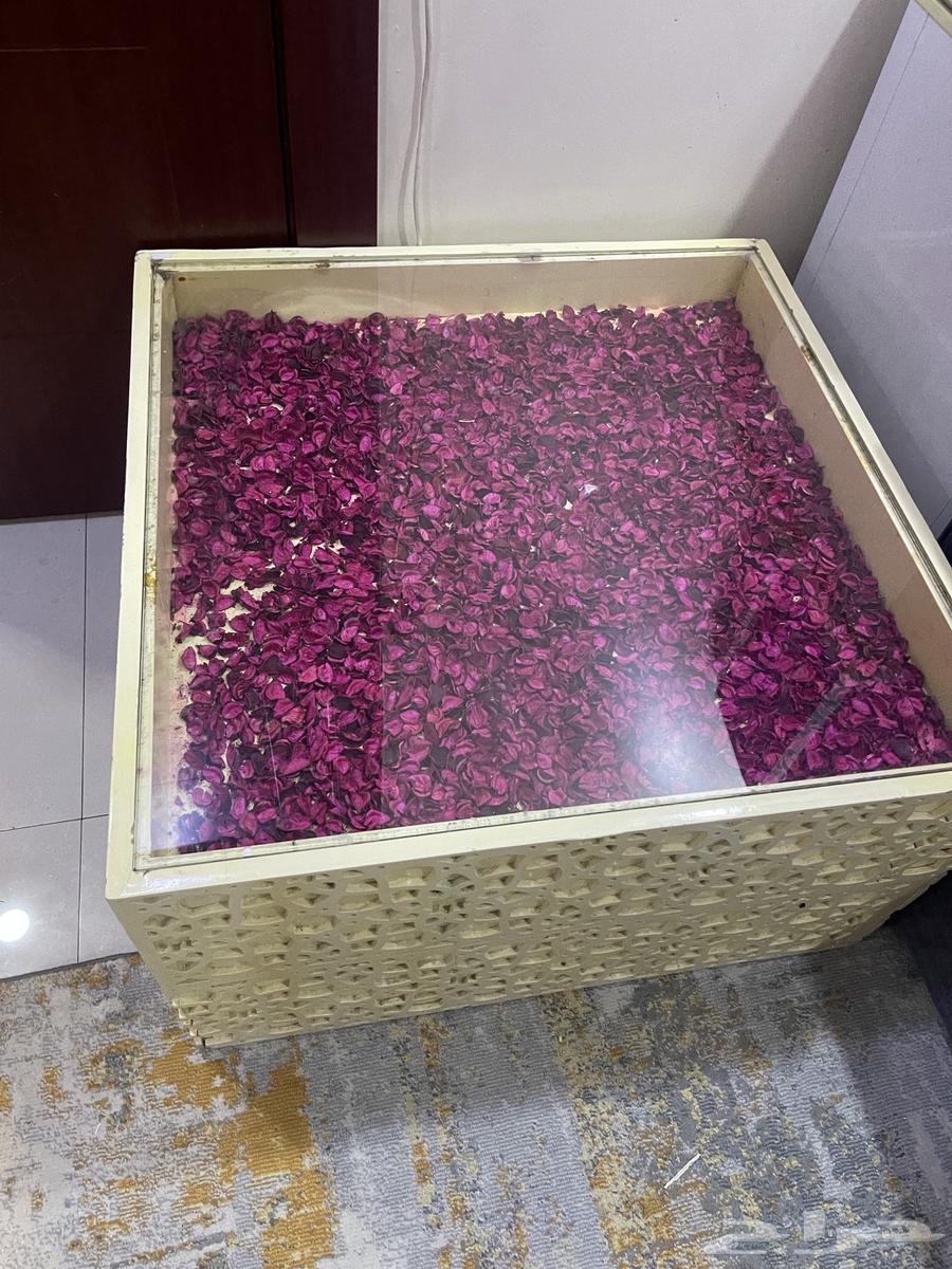 كنب عدد 2 كرسي كنبه كبيره 3 افراد كنبه 2 فرب64447573696003113