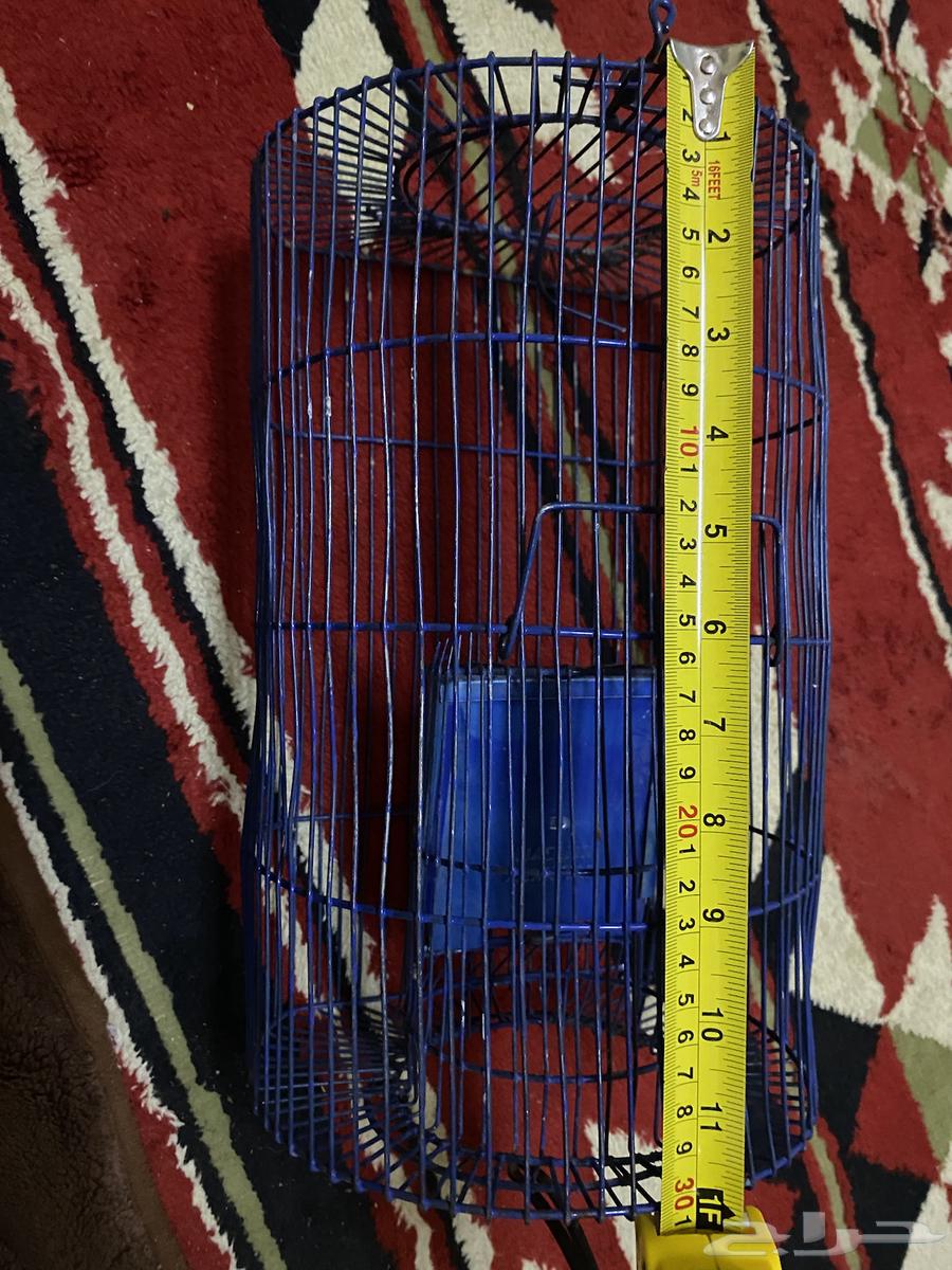 Bird Trap64444700830083113