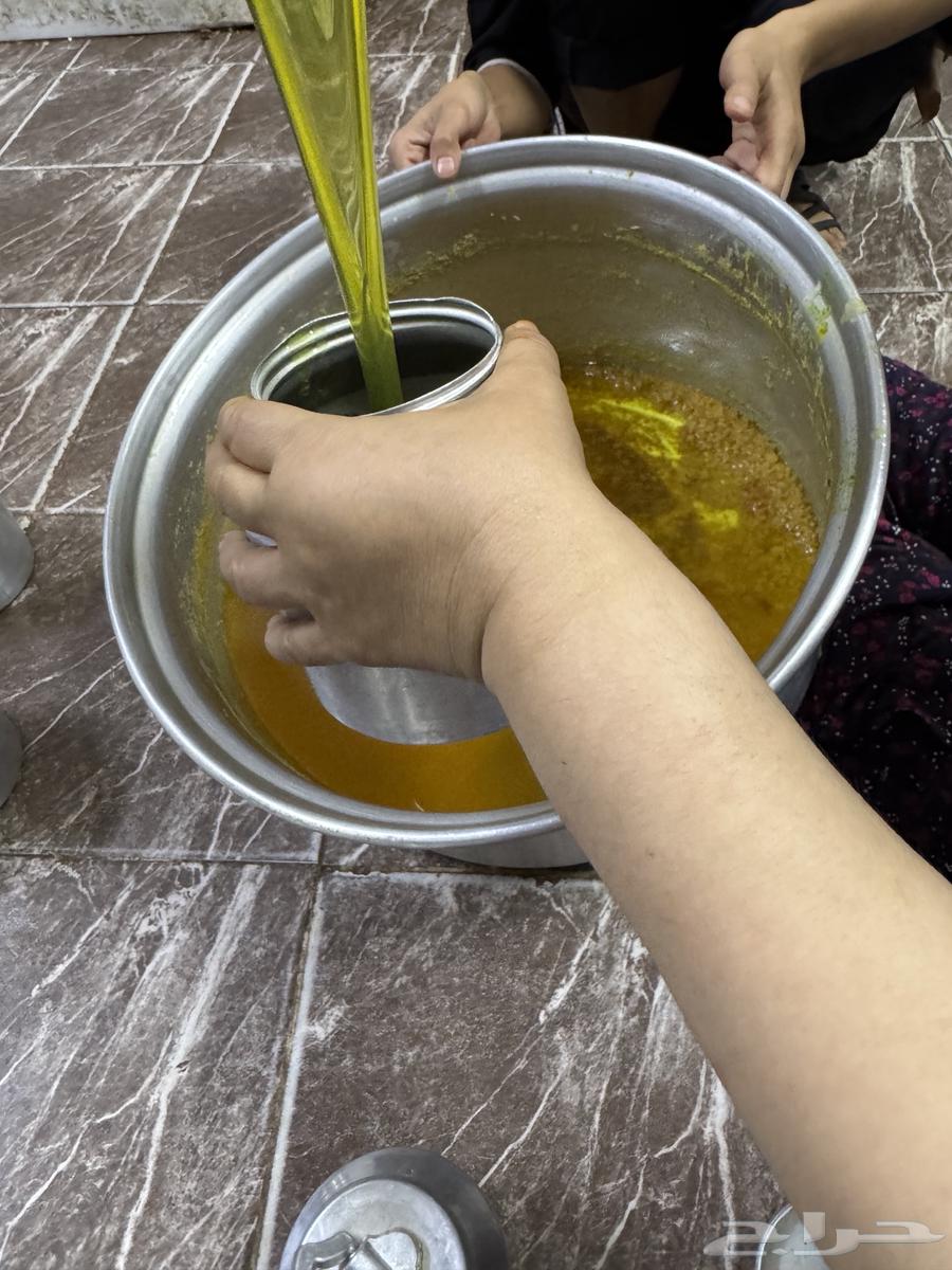 Sheep Ghee64445580920195111