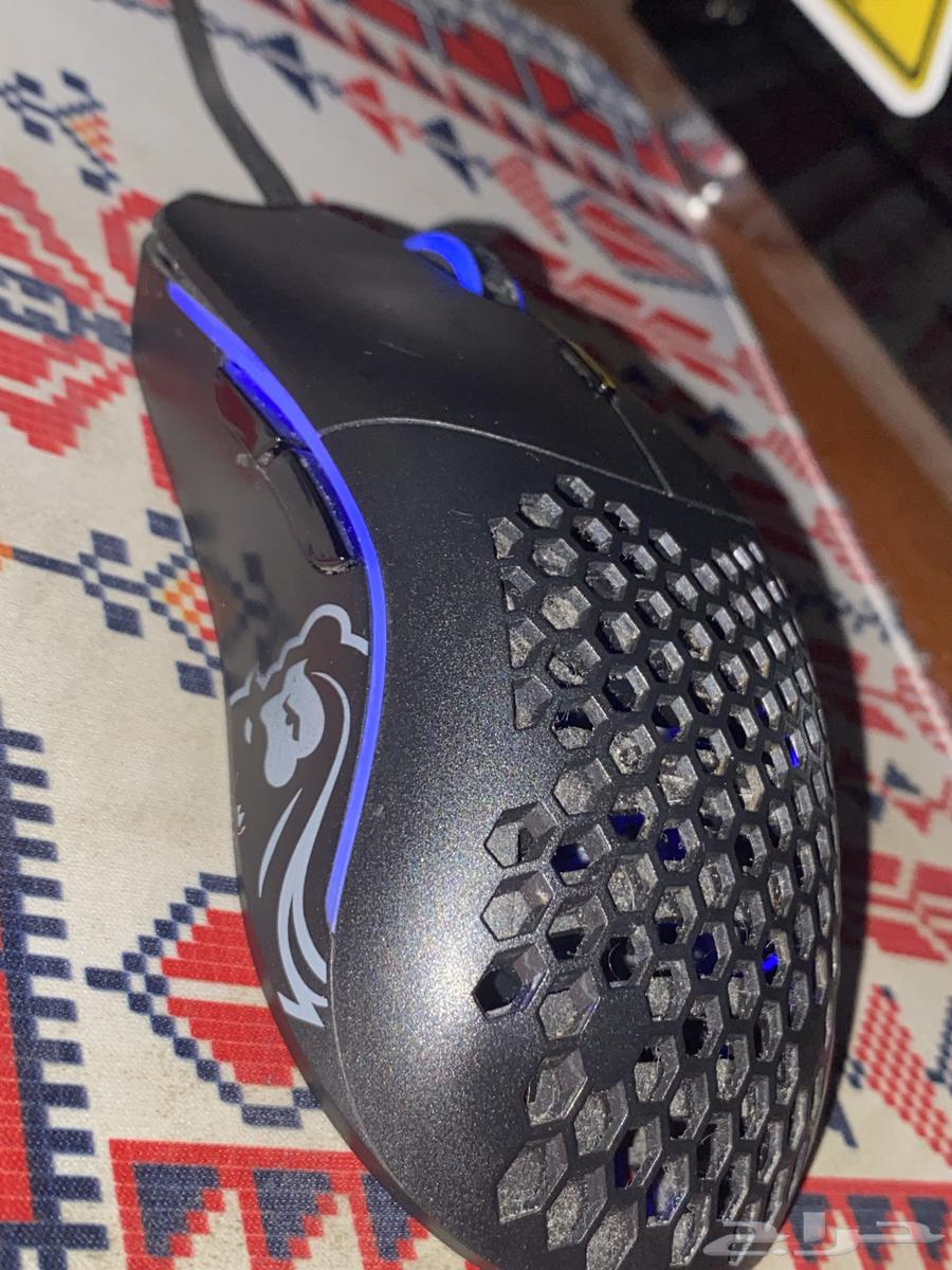 Gloris Mouse Model O64449127629697111