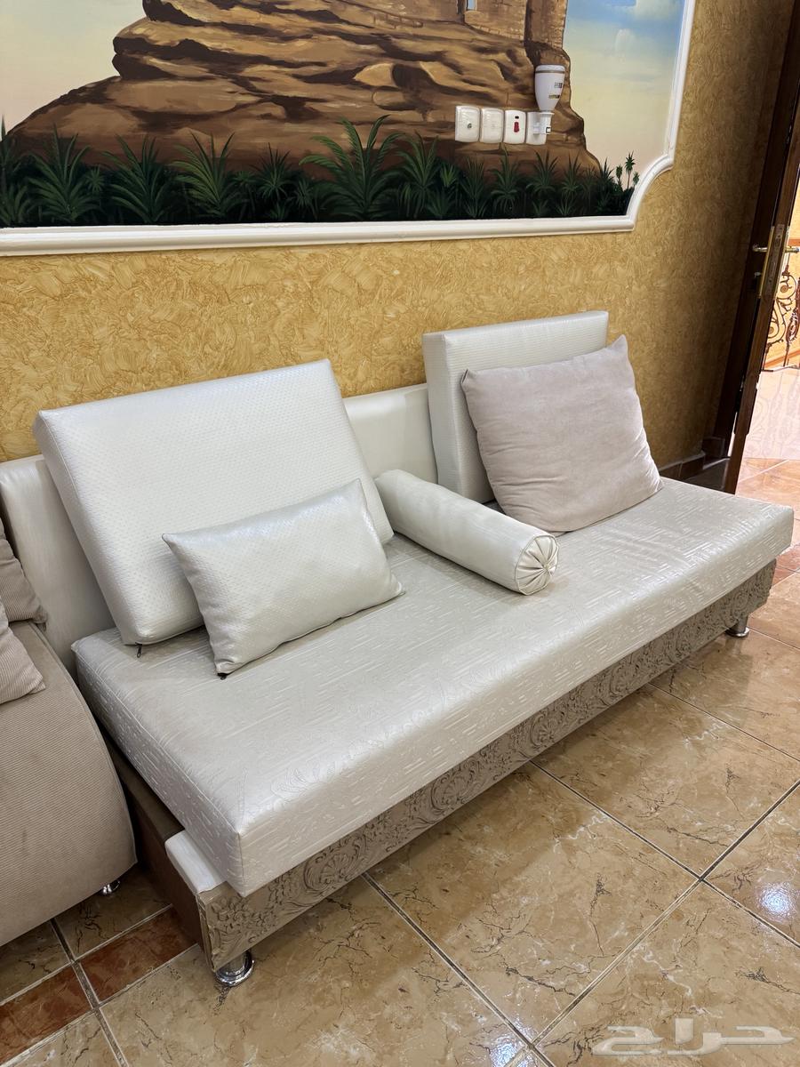 كنب جلد سكري للبيع64443101630082114