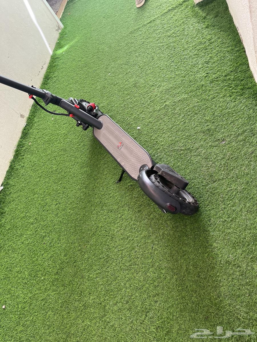 Clean scooter for rent, modest woman bought it for 630, I have 550 in it64445811460867111