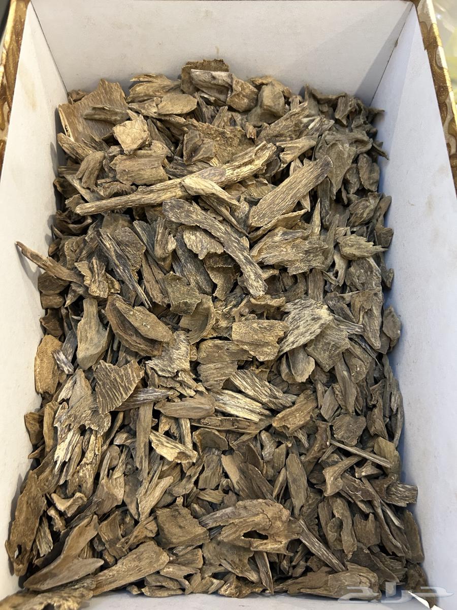 عود طببعي مشكل دبل وتربل64449462330626113