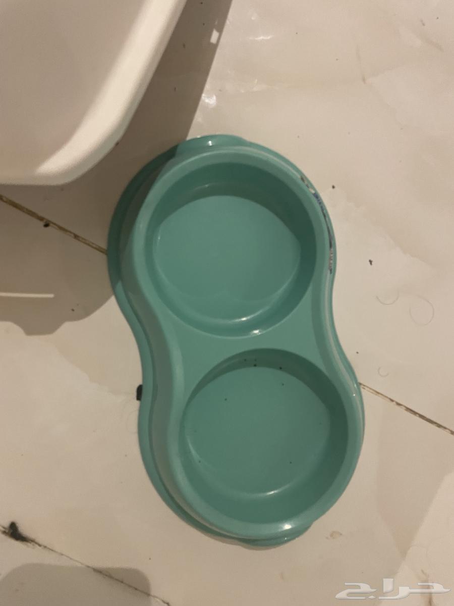 ليتر بوكس قطط وصحن اكل64442843787779111
