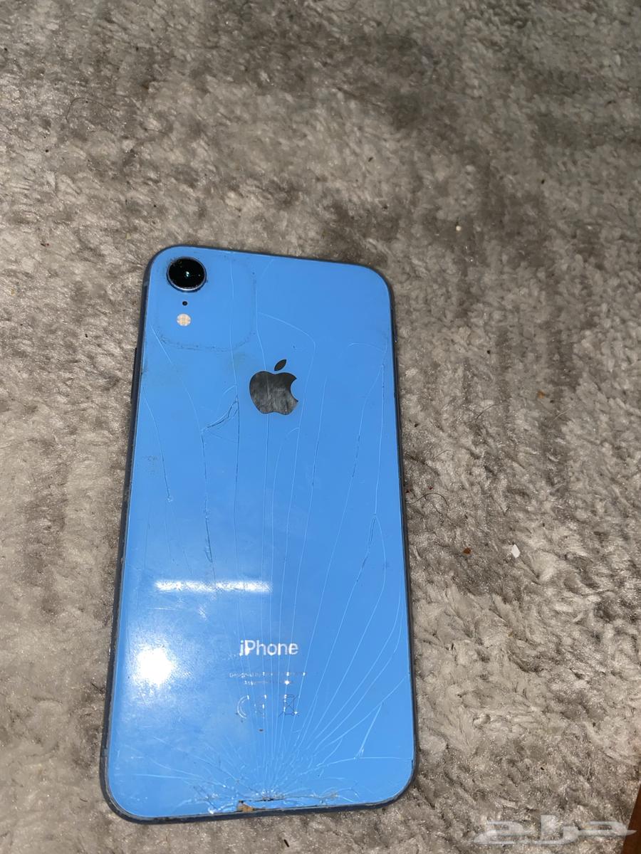 iPhone XR64442803198977110