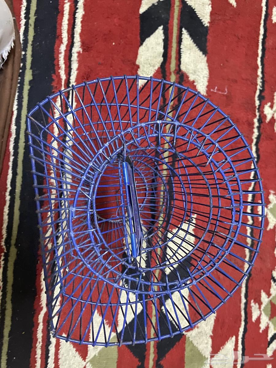 Bird Trap64444700830083112