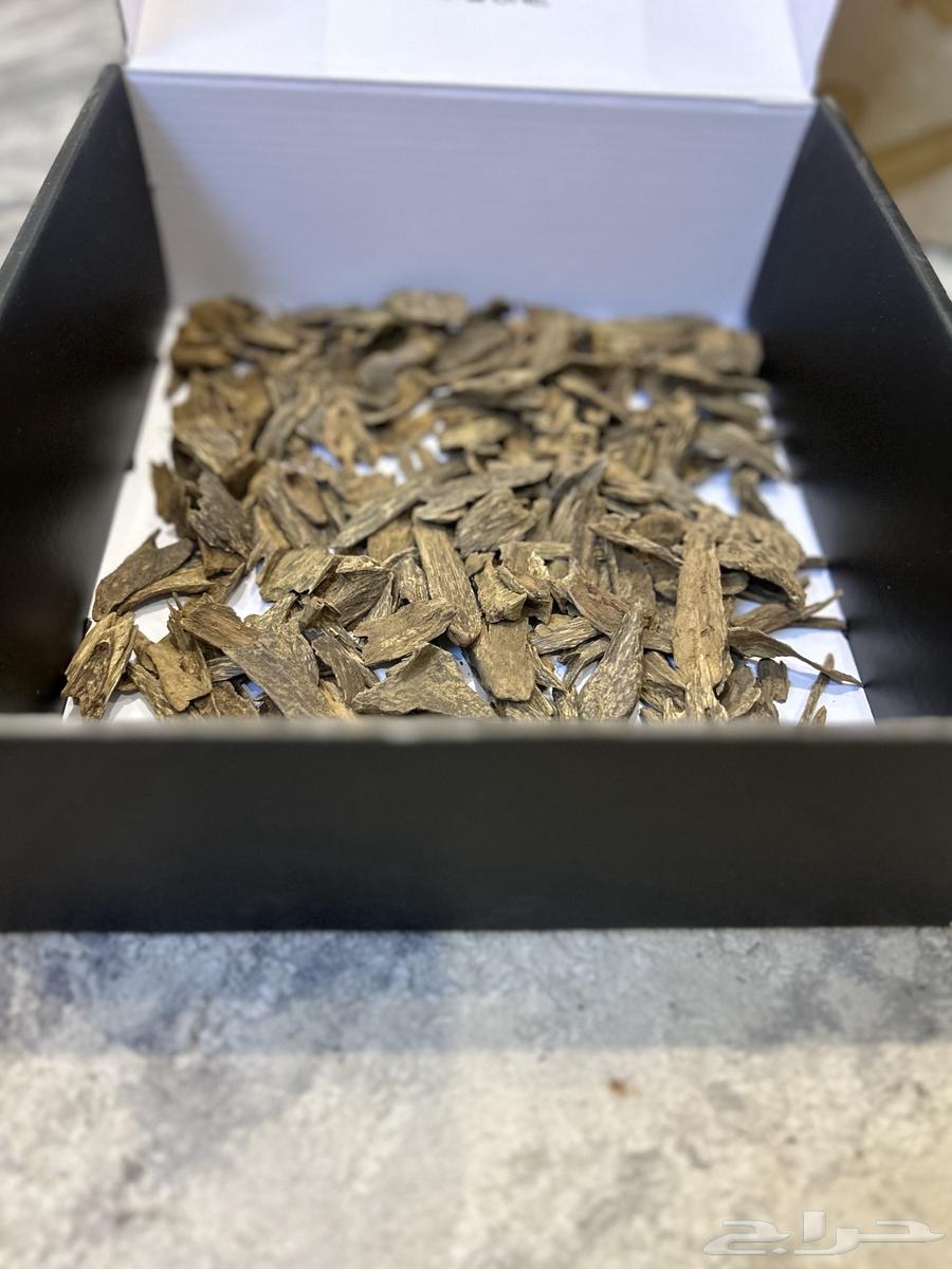 عود طببعي مشكل دبل وتربل64449462330626112