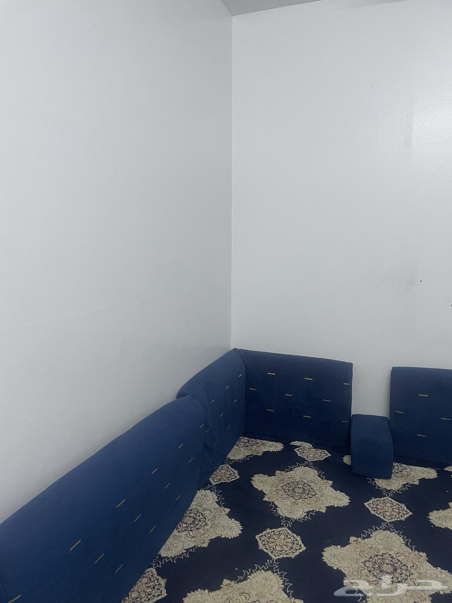 Carpet64445933026306112