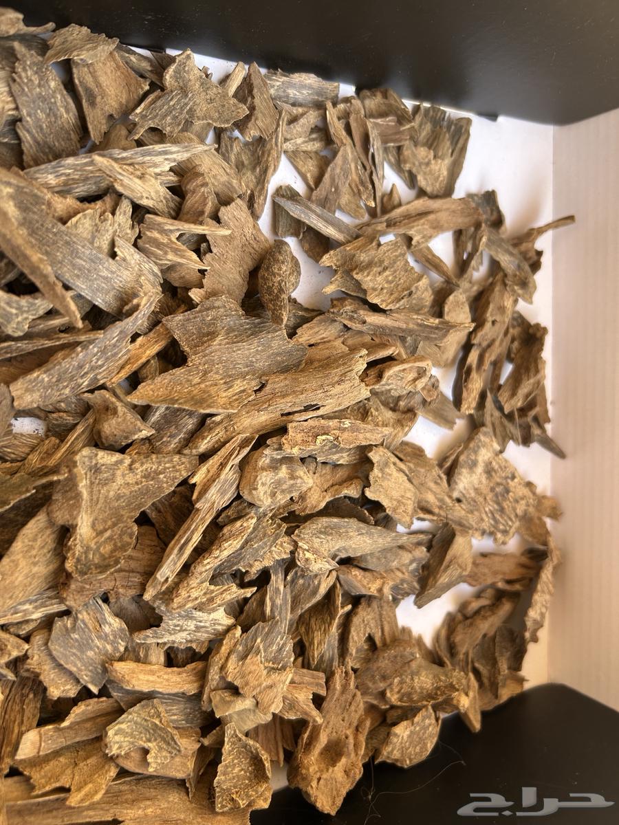 عود طببعي مشكل دبل وتربل64449462330626111