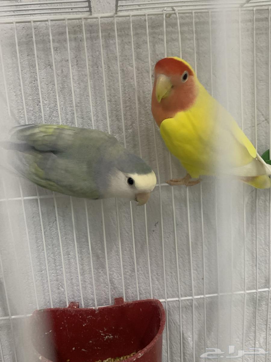 Zikr Ruz64444849406850114