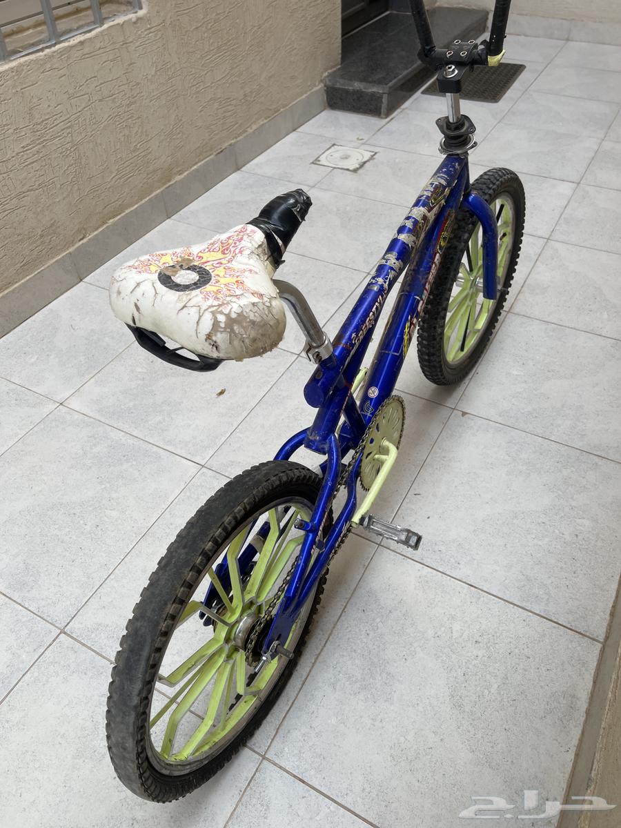 Cobra bicycle size 2064446563230339111