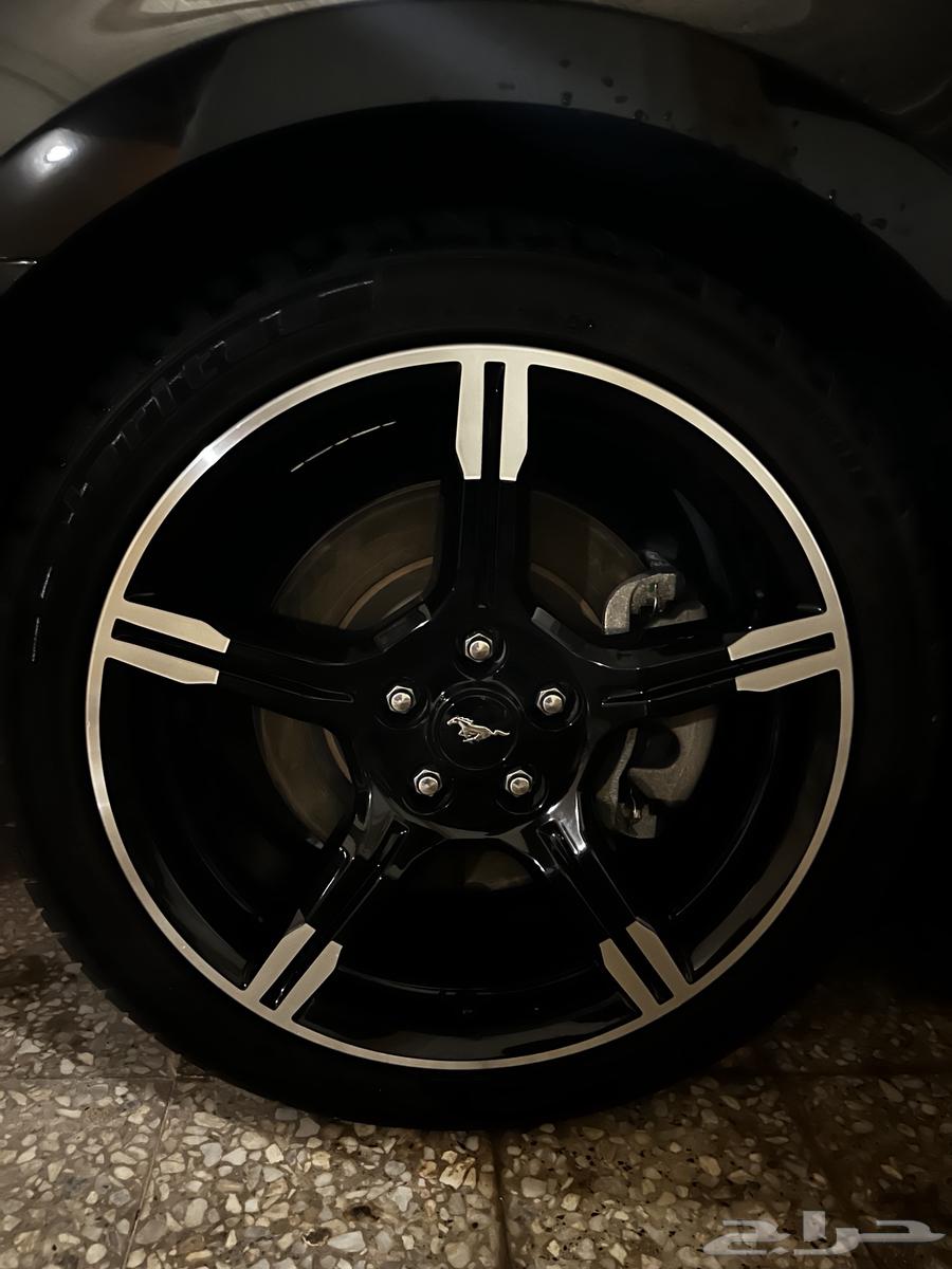 جنوط موستنق سبيشل كليفورنيا 202164607744201345110