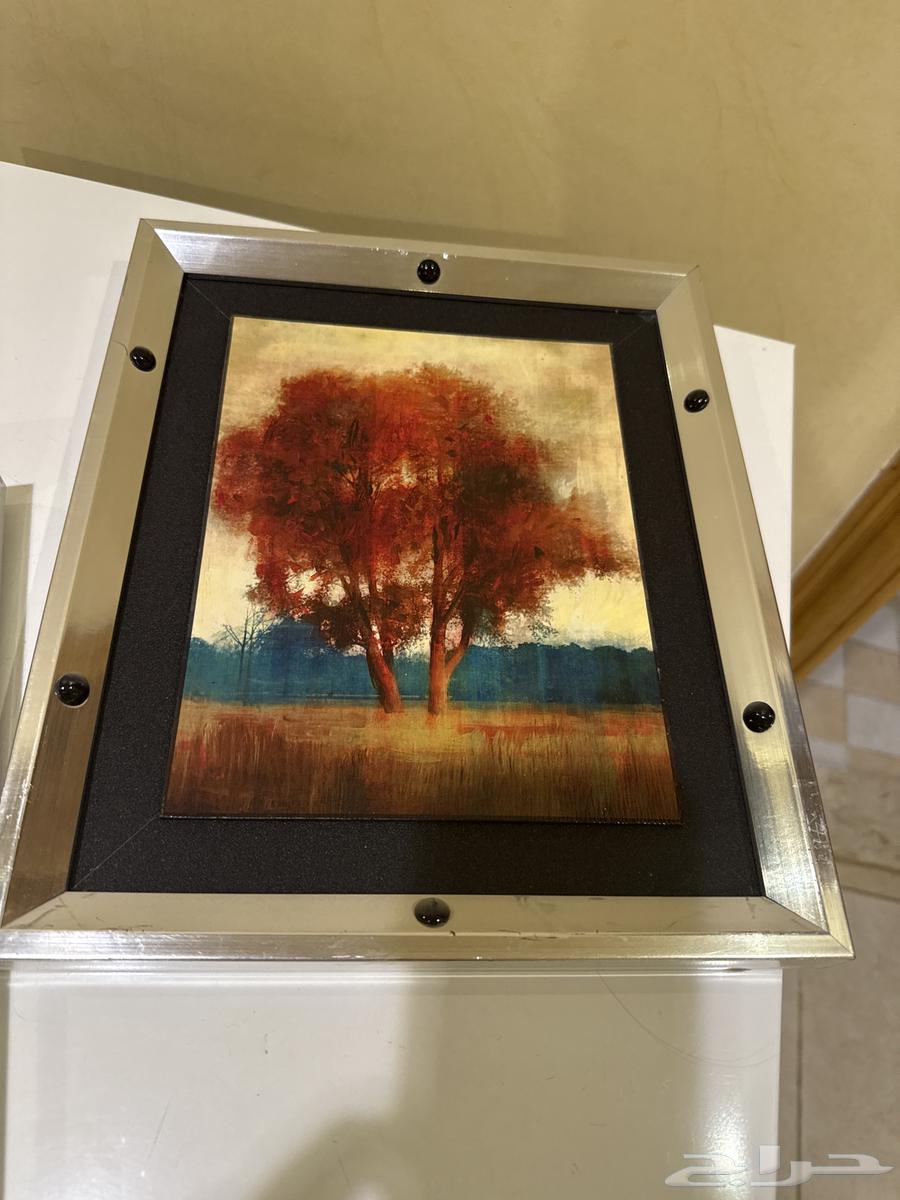 لوحه حائط للبيع اربع حبات اثنين جديد واثنان استعمال قليل64444607072387113