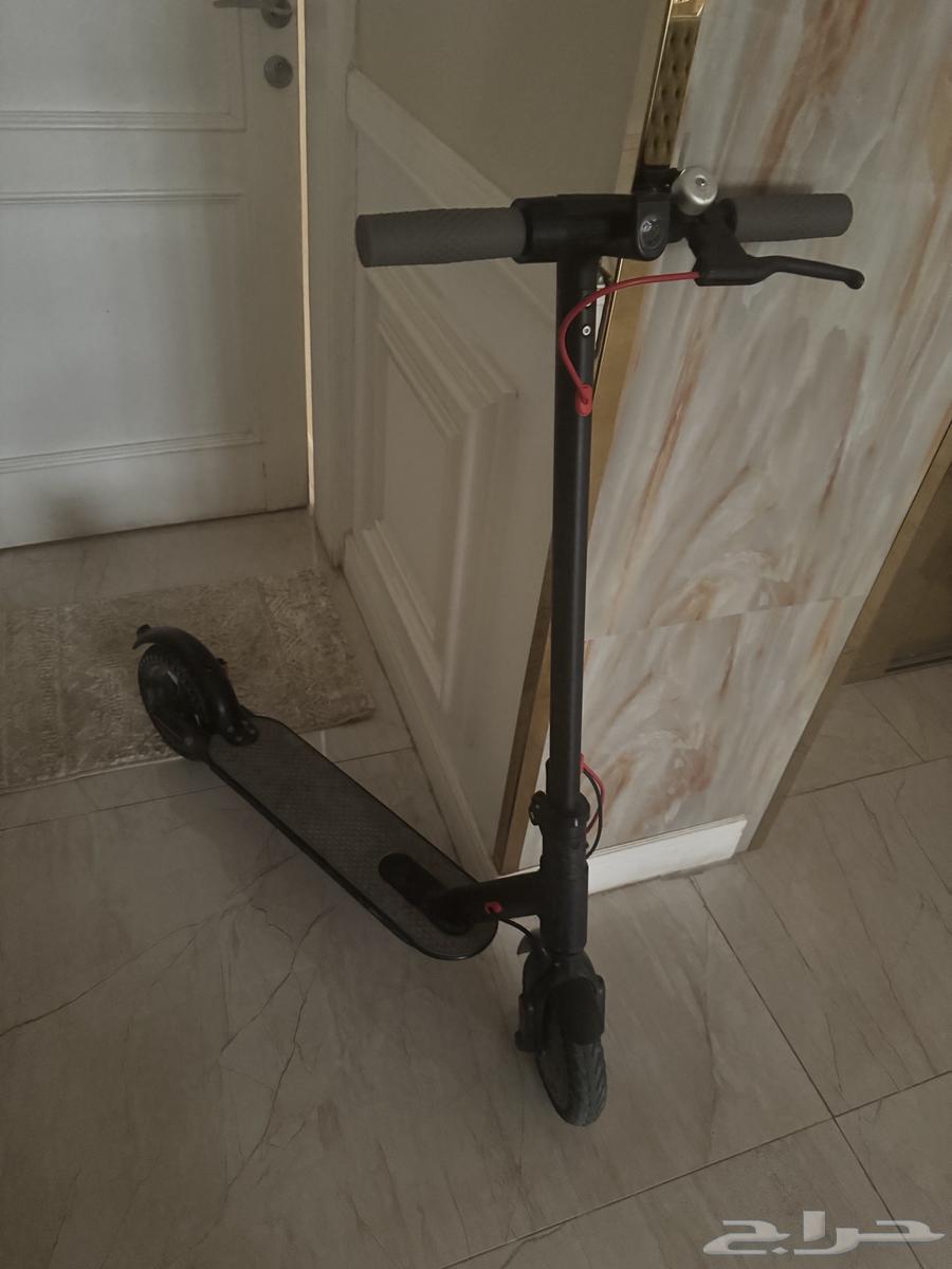 Scooter64446189437313110