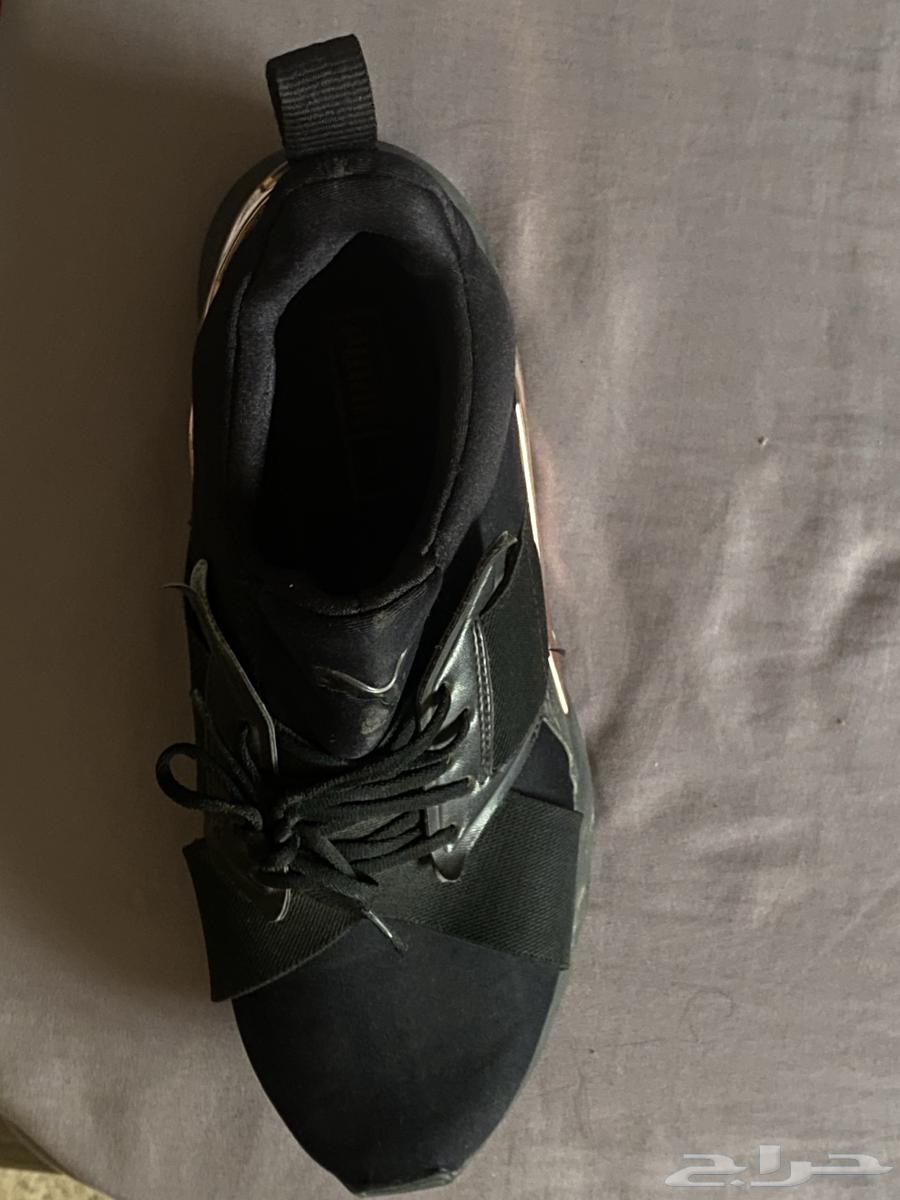 جزمة  حذاء  شوز بوما و ألدو64443816511362111