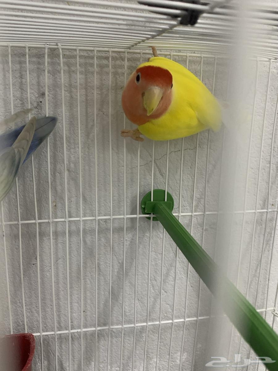 Zikr Ruz64444849406850110