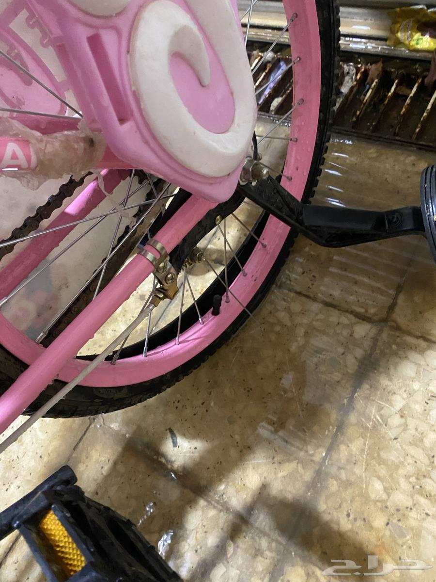 سيكل بنات جديد64444768308483112