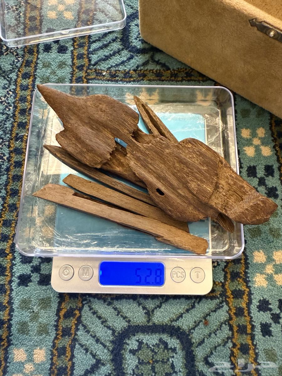 مروكي تربل قديم64446536386561111