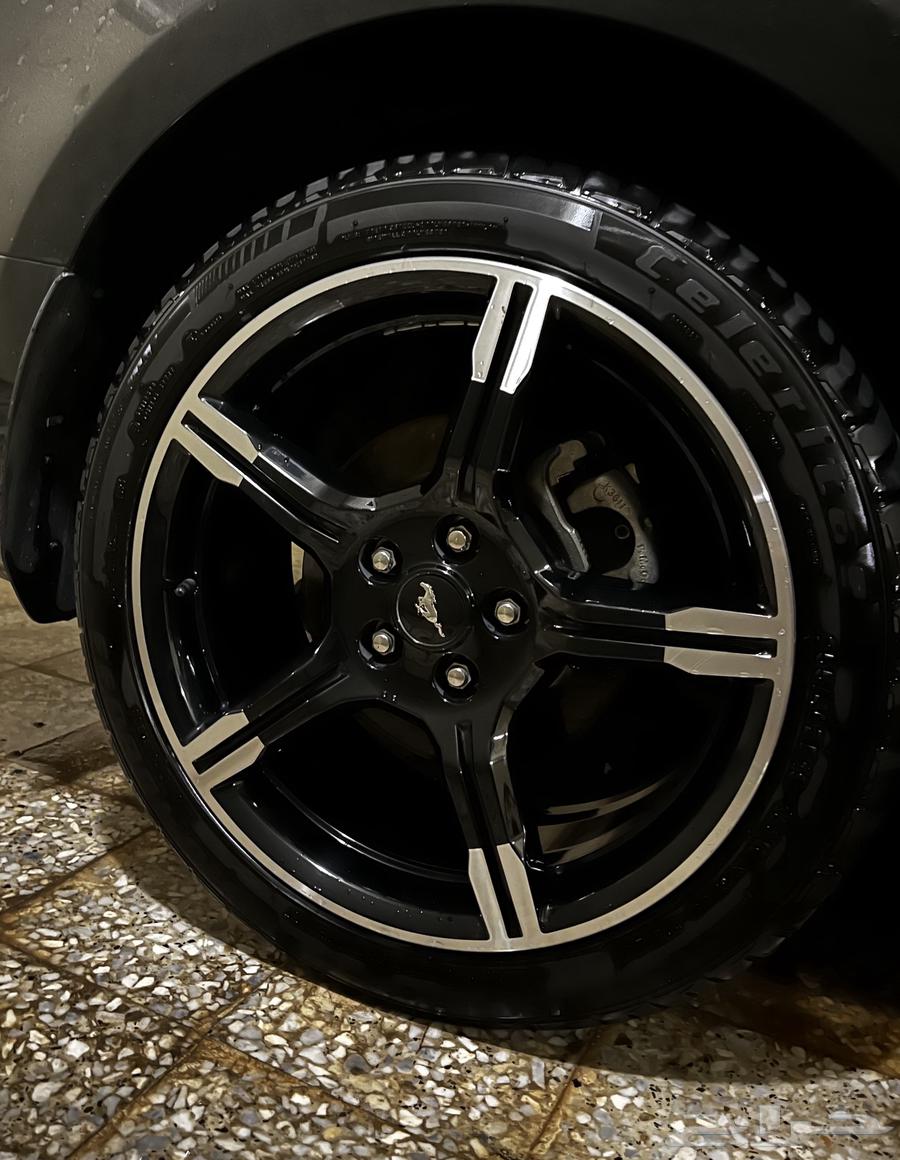 جنوط موستنق سبيشل كليفورنيا 202164607744201345111