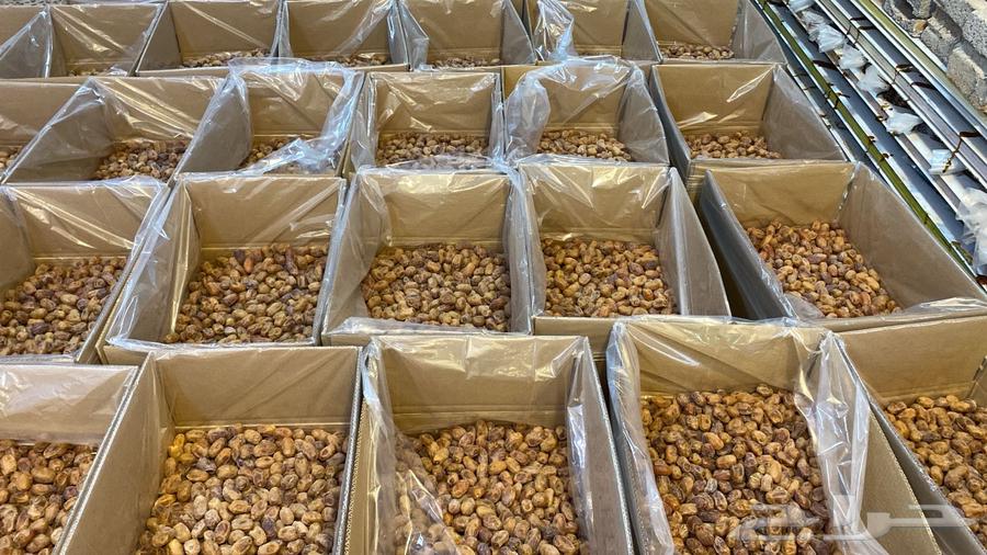 Tamr Khalas64446603136770114