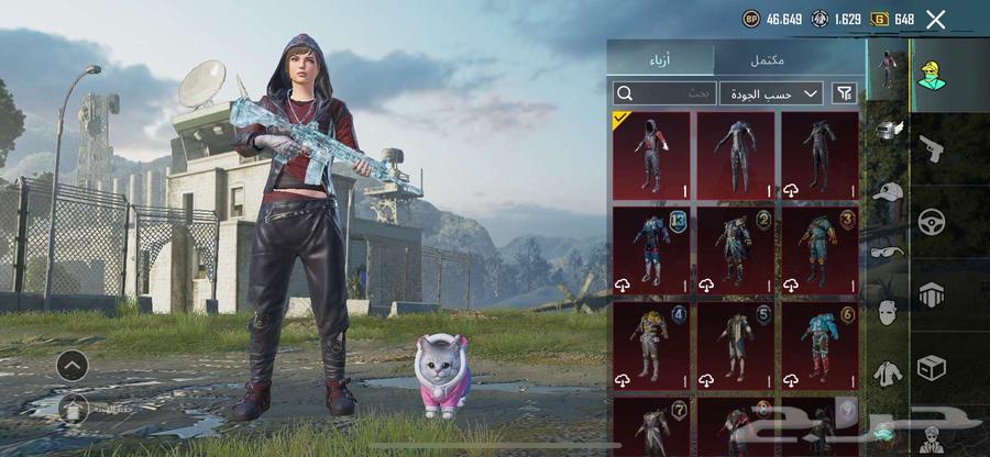 حساب ببجي للبيع64443923638146110