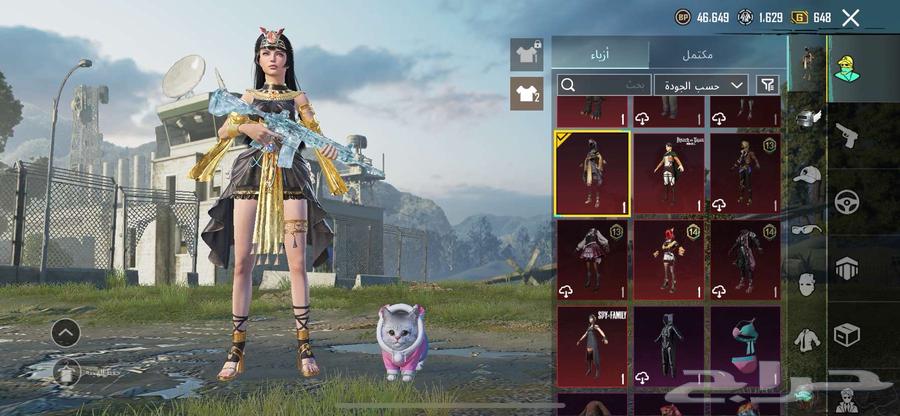 حساب ببجي للبيع64443923638146112