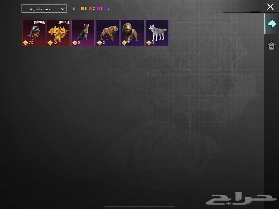 حساب ببجي على السوم64449650962690113