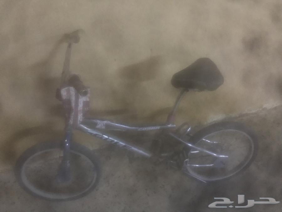 سيكل كوبرا64611167114625110