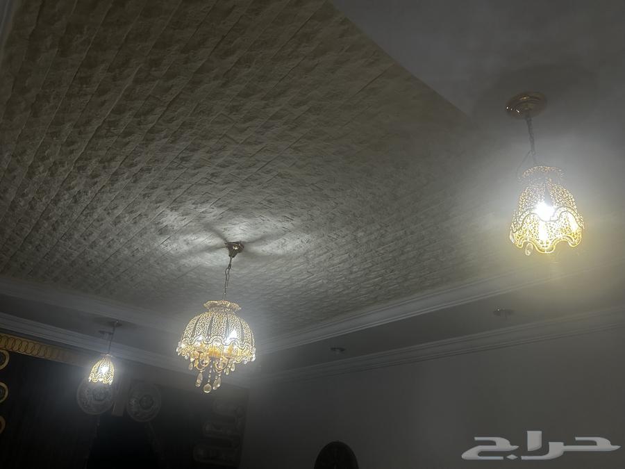 Boards and lights for sale64442241012225113