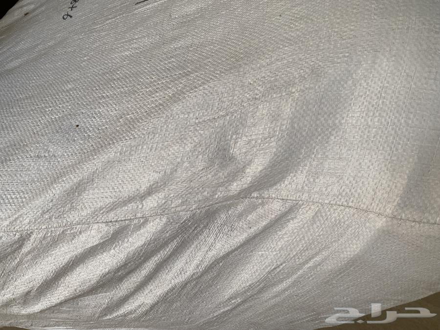 Lazy Boy64443520458499111