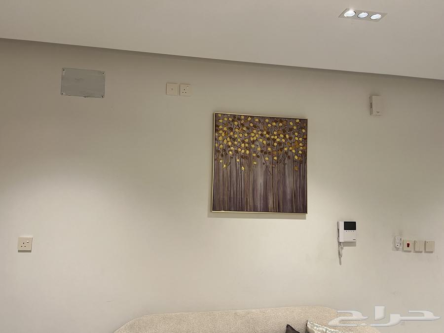 اثاث صاله للبيع64448927414915114