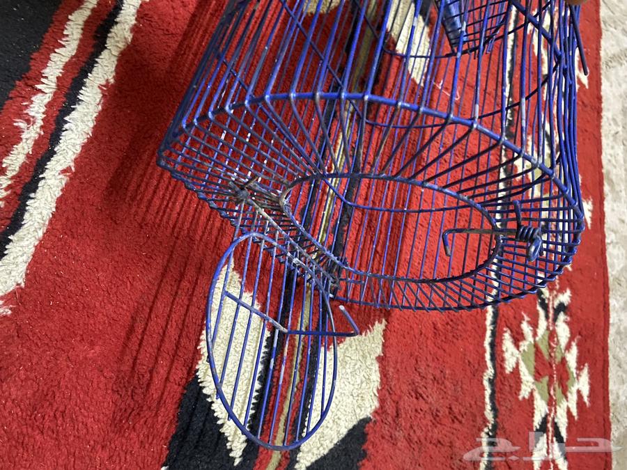 Bird Trap64444700830083111