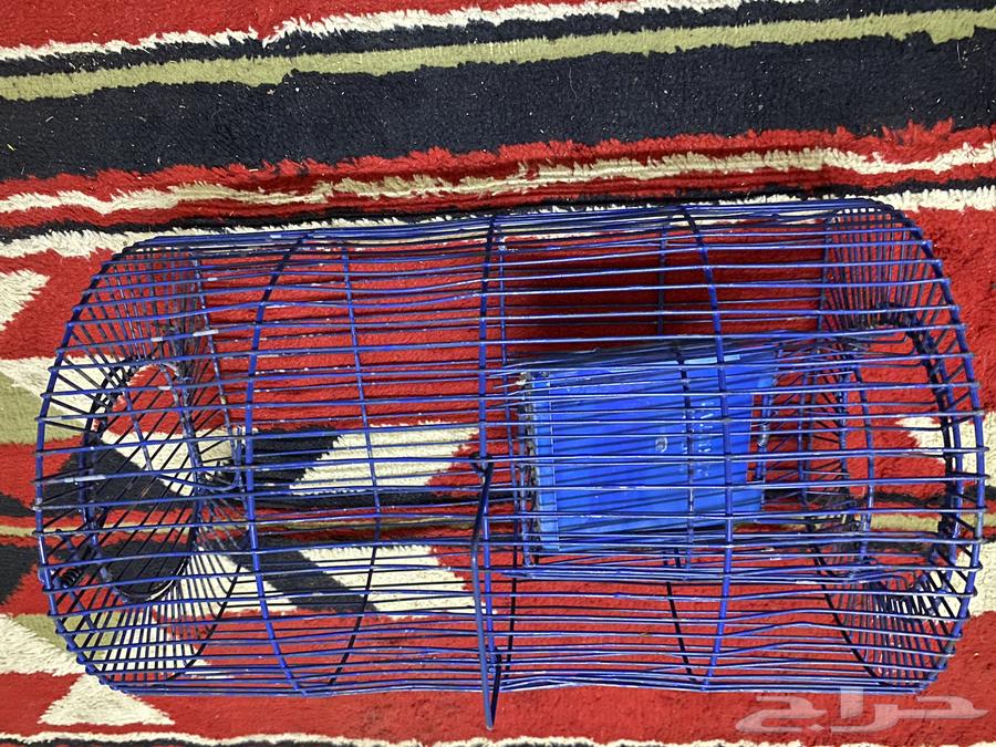 Bird Trap64444700830083110