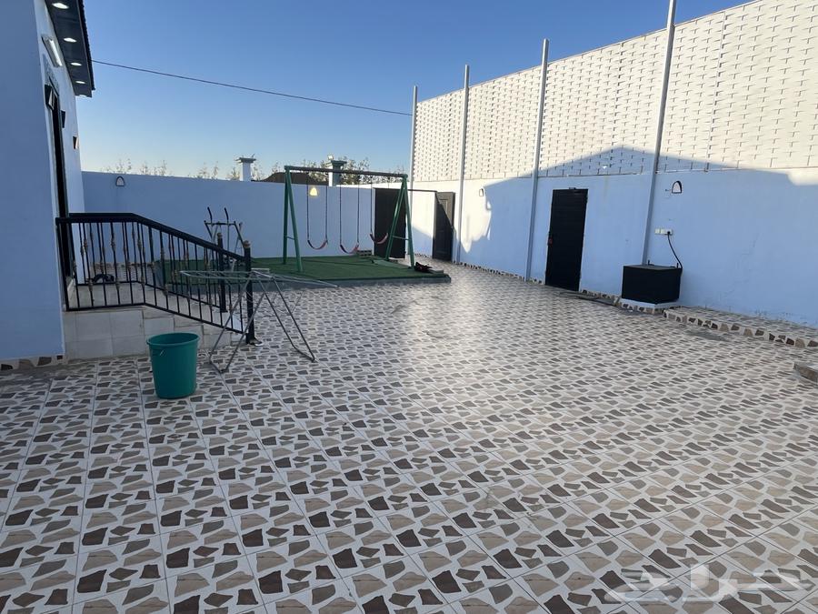 Al-Arfa Al-Jawada. Offer No. 164142381635458110