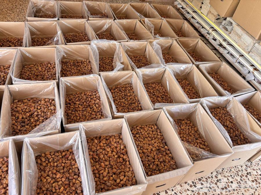 Tamr Khalas64446603136770112