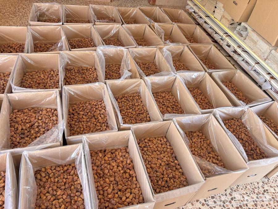 Tamr Khalas64446603136770111