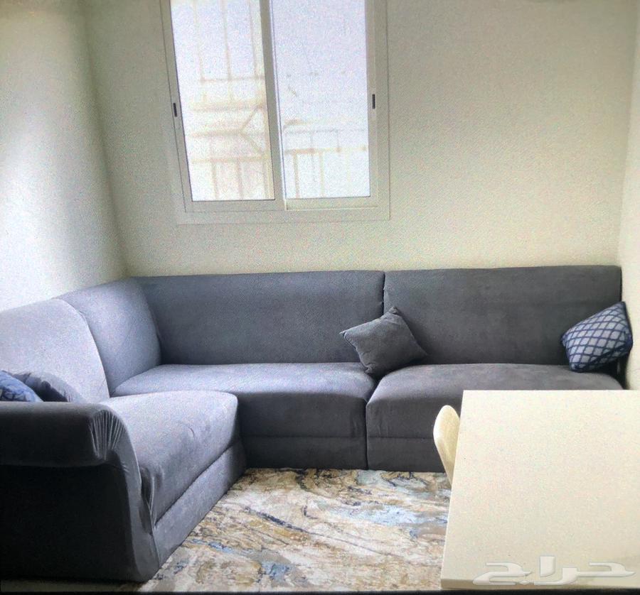 Sofa 2 364447997750274110