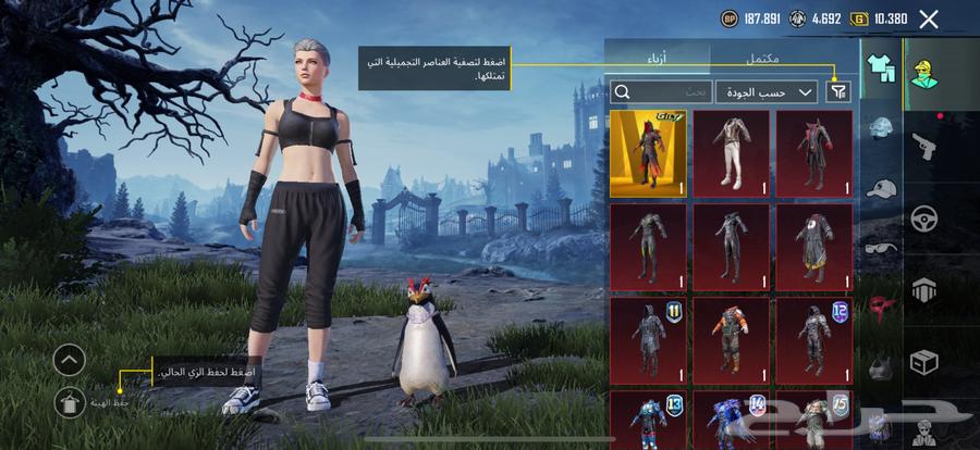 حساب ببجي للبيع64447745482499112