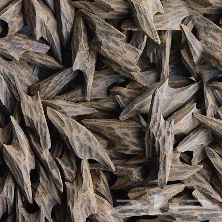 عودة التايقر للبيع64444687500289110